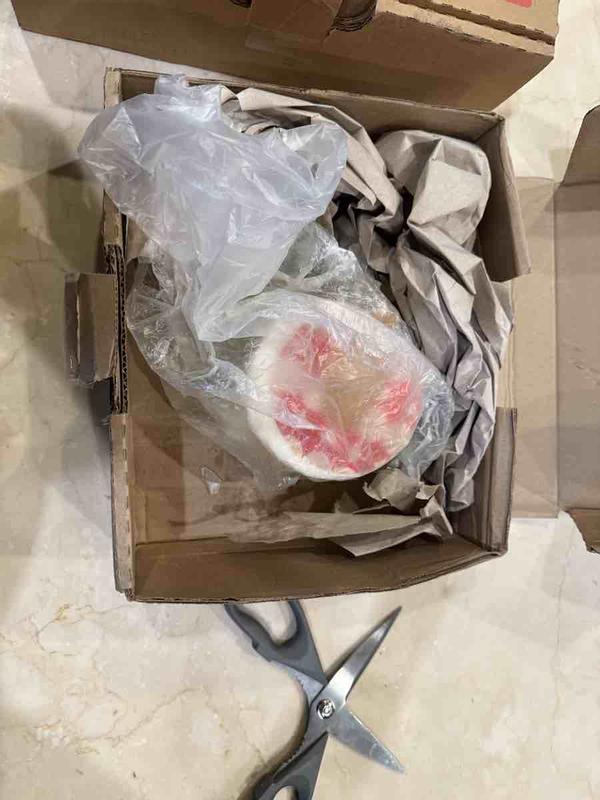 Review Thumbnail Image 3 246034261