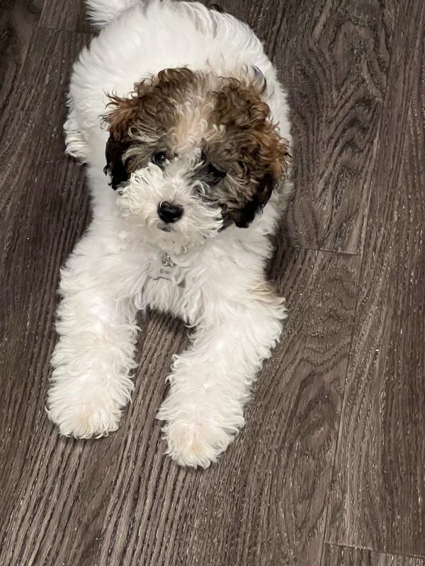 Review Thumbnail Image 0 231099784