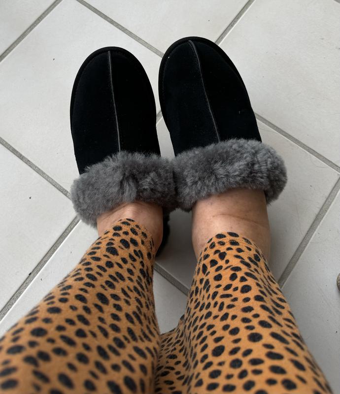 Fantastic Slippers