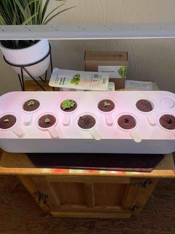 Customer photo for "Not worth the price, disappointed"