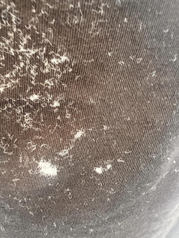 Review Thumbnail Image 0 231227370