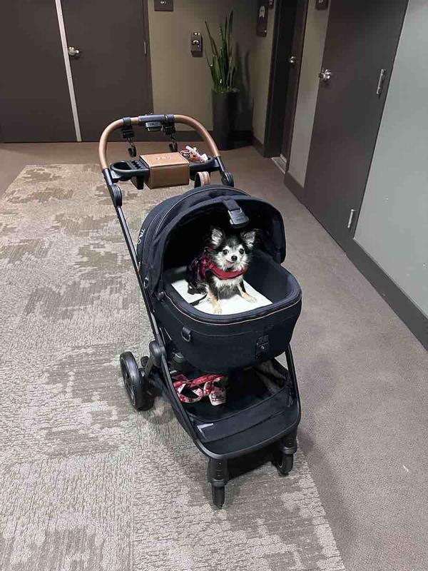 Review Thumbnail Image 0 232056532