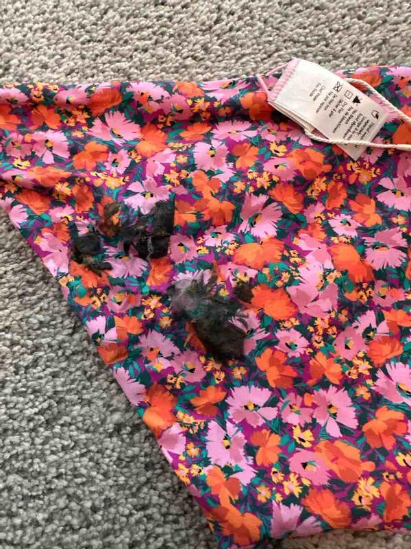 Review Thumbnail Image 0 231766656