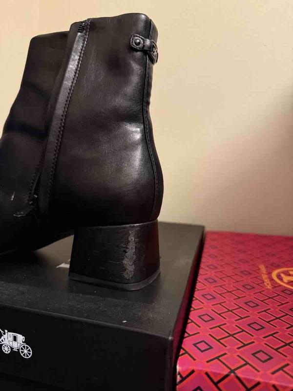 Review Thumbnail Image 0 239861778