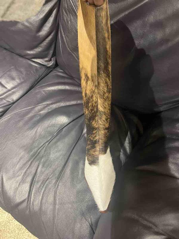 Review Thumbnail Image 0 245471051