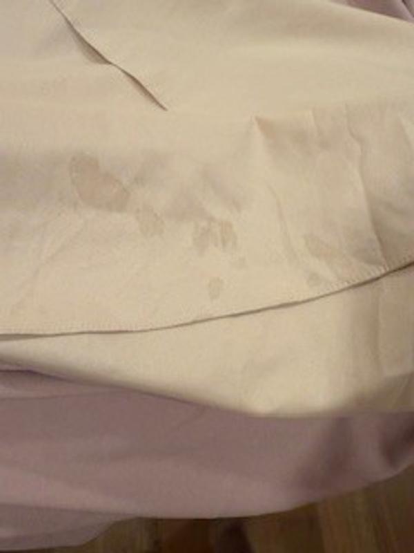 Review Thumbnail Image 1 244768168