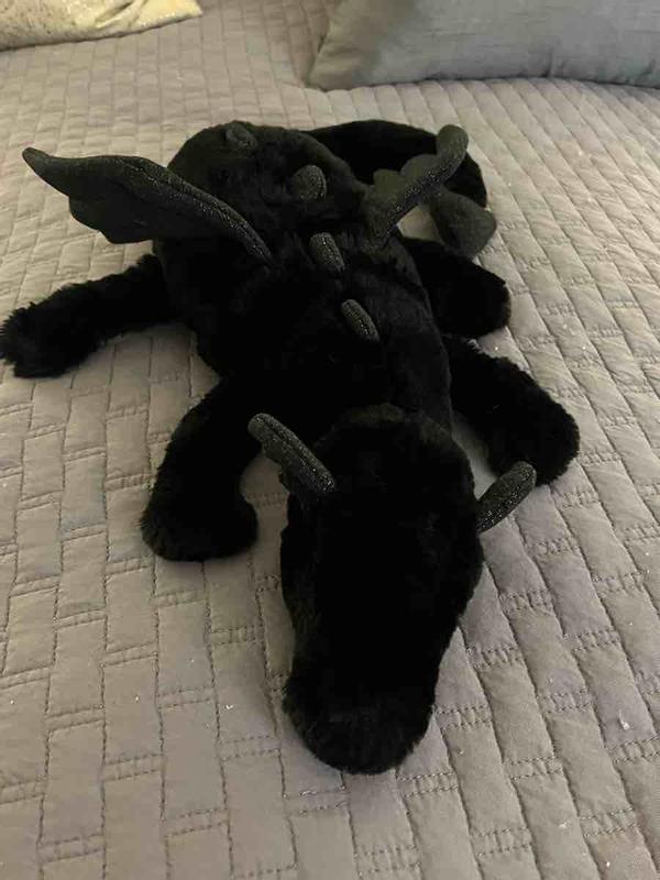 Review Thumbnail Image 0 216052510