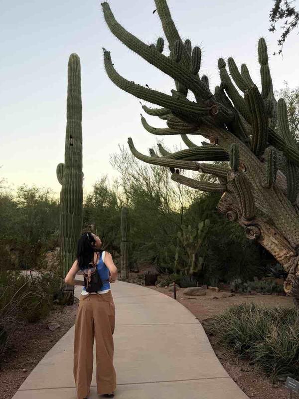 Review Thumbnail Image 0 246314799