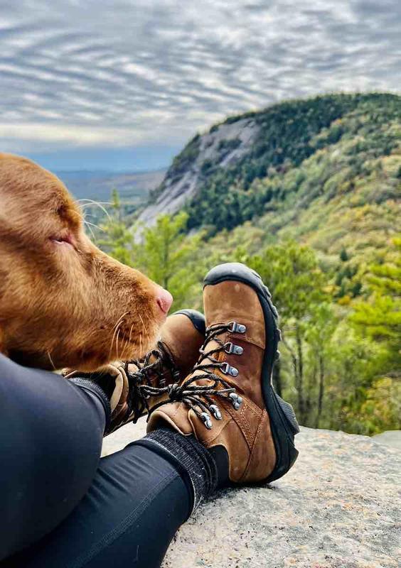 Review Thumbnail Image 0 222678874