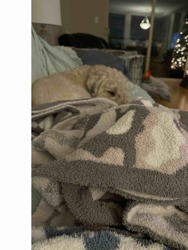 Review Thumbnail Image 0 221786500