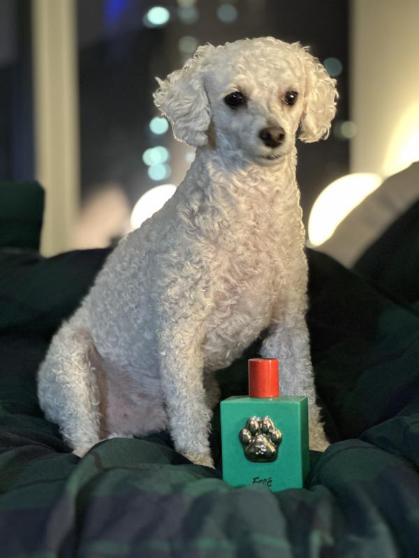 Review Thumbnail Image 2 239431313