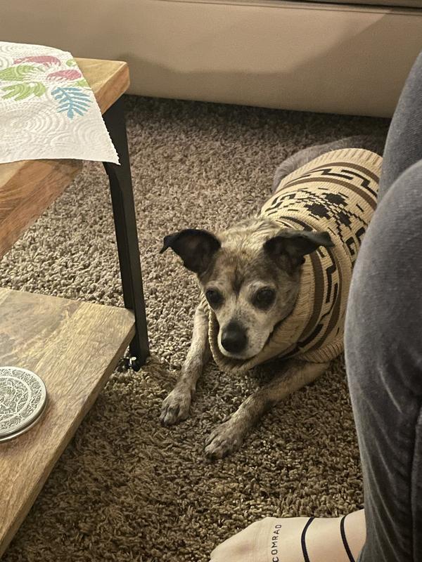 Review Thumbnail Image 2 230738805