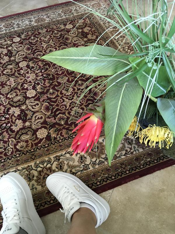 Review Thumbnail Image 0 234108199