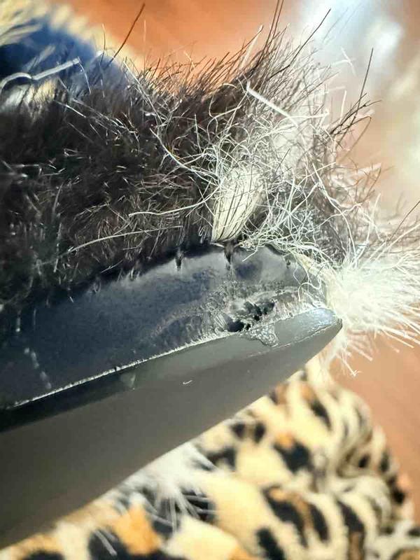 Review Thumbnail Image 0 245896800