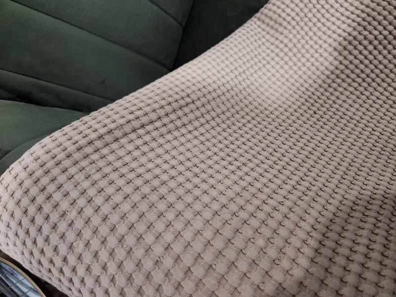 Review Thumbnail Image 0 238474781