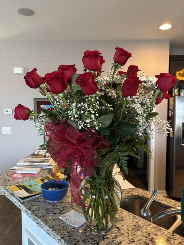 Review Thumbnail Image 3 242160506