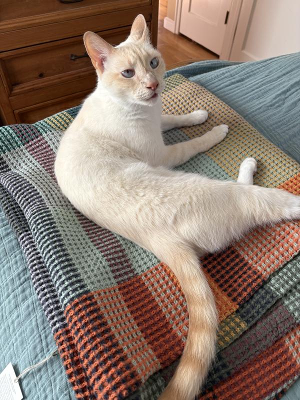 Review Thumbnail Image 1 244489638