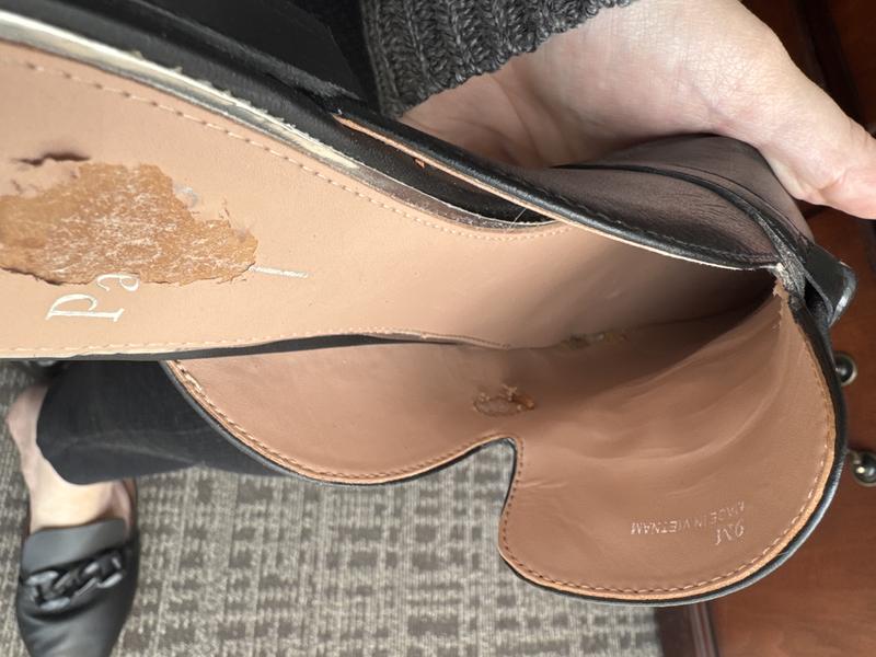 Review Thumbnail Image 1 242029884