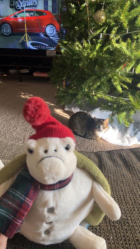 Review Thumbnail Image 1 237591800