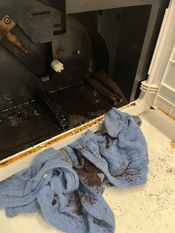 Customer photo for "After two years using everday"