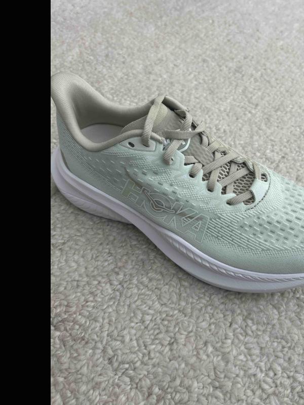 Customer photo for "Oyster Mushroom is Mint Green!"