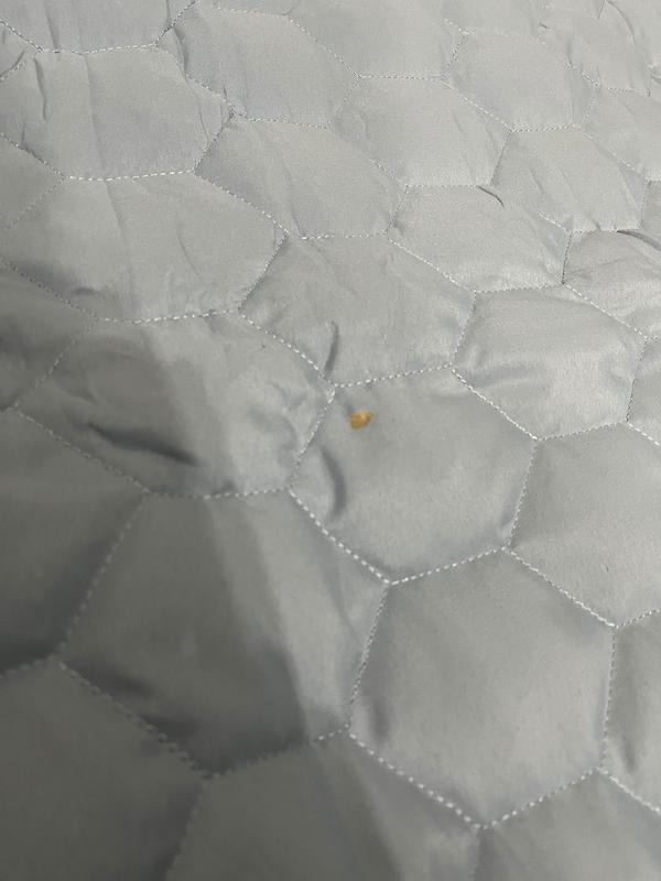 Review Thumbnail Image 1 241061272