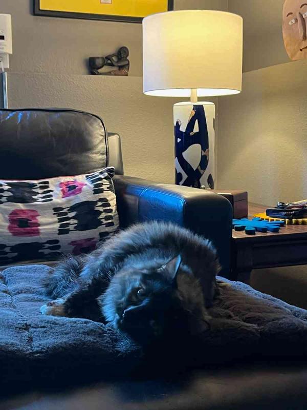 Review Thumbnail Image 0 227159193