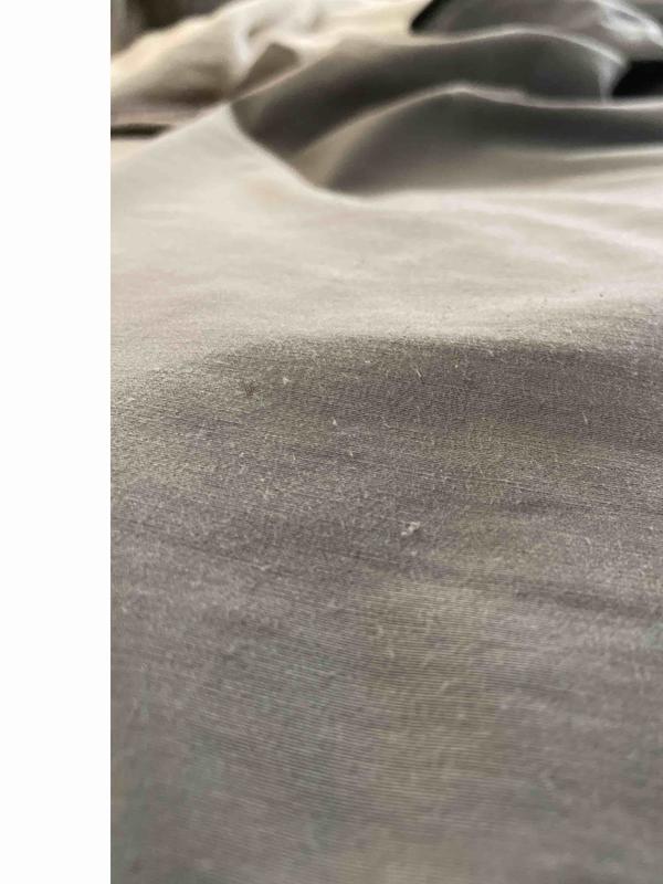 Review Thumbnail Image 0 226780076