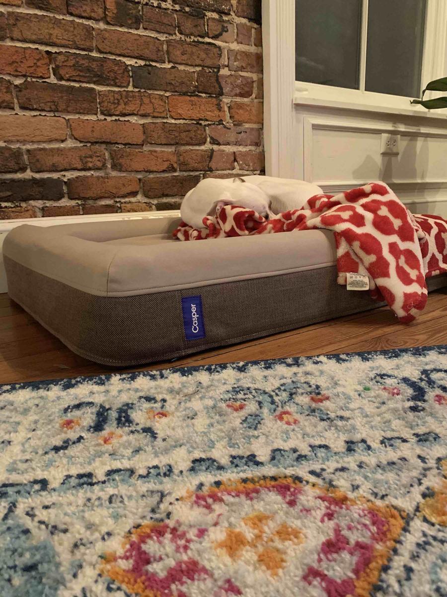 Review Thumbnail Image 1 203815508