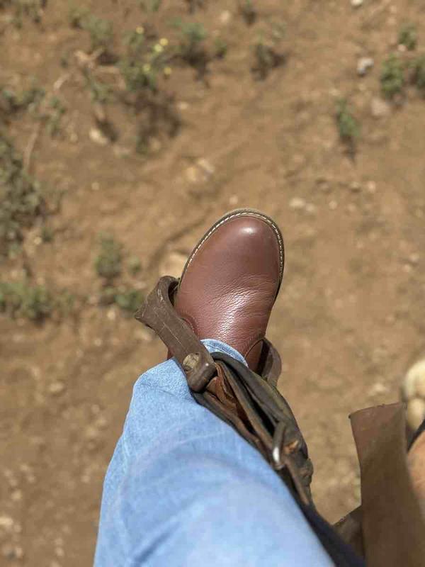 Review Thumbnail Image 1 243790682