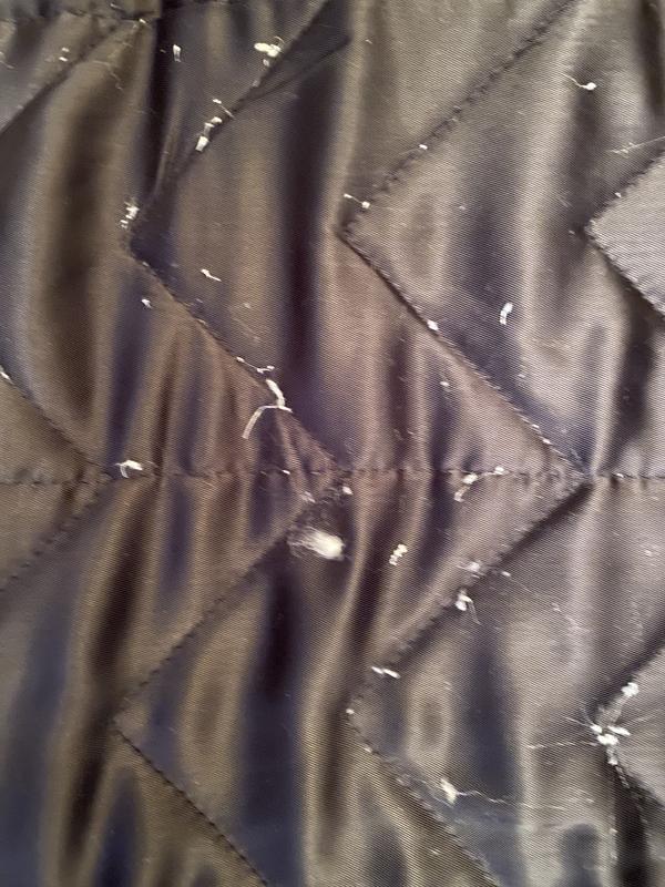 Review Thumbnail Image 0 221602501