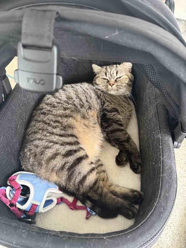 Review Thumbnail Image 1 244391890