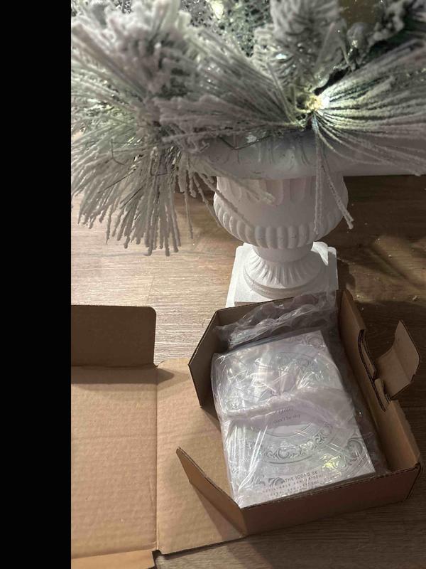 Review Thumbnail Image 0 237731733