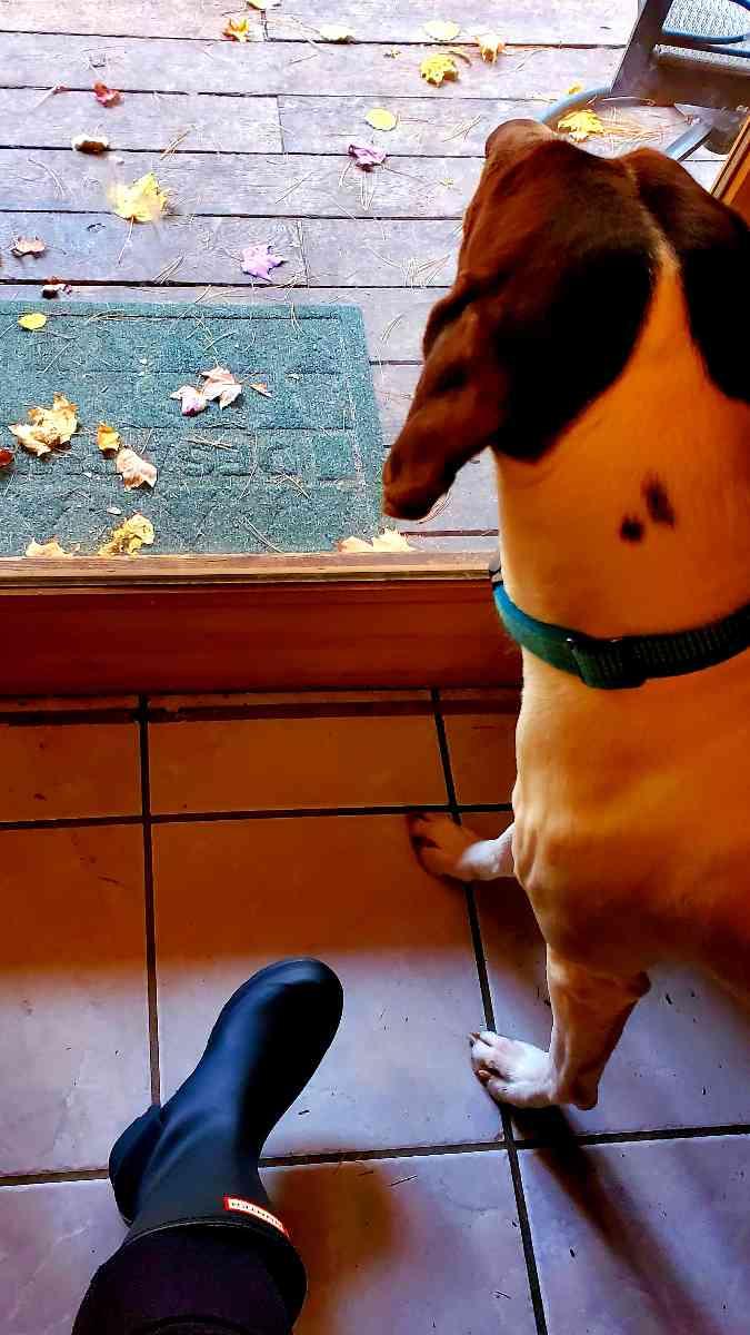 Review Thumbnail Image 0 201245547