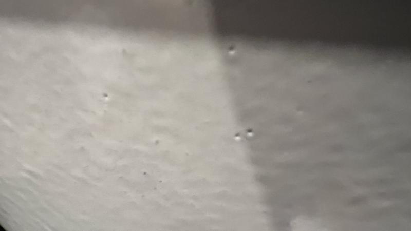 Review Thumbnail Image 2 232847685