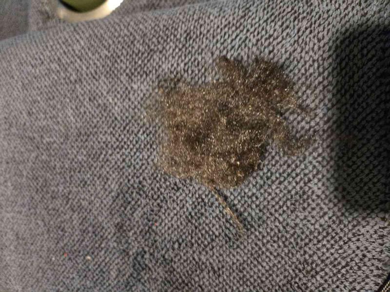 Review Thumbnail Image 0 247605189