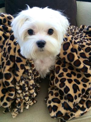 Review Thumbnail Image 0 63283152