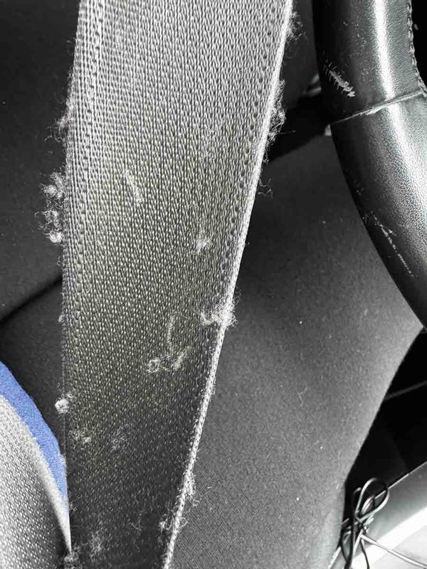 Review Thumbnail Image 1 236395010