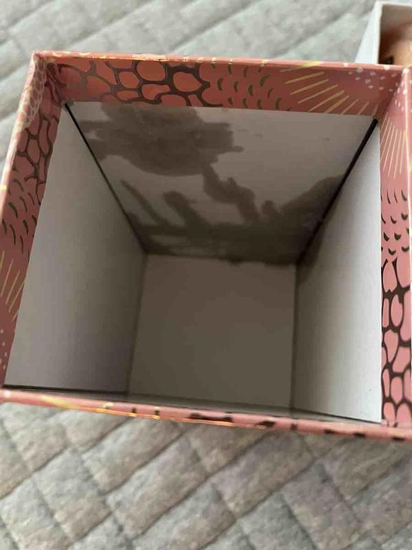 Review Thumbnail Image 2 245294205