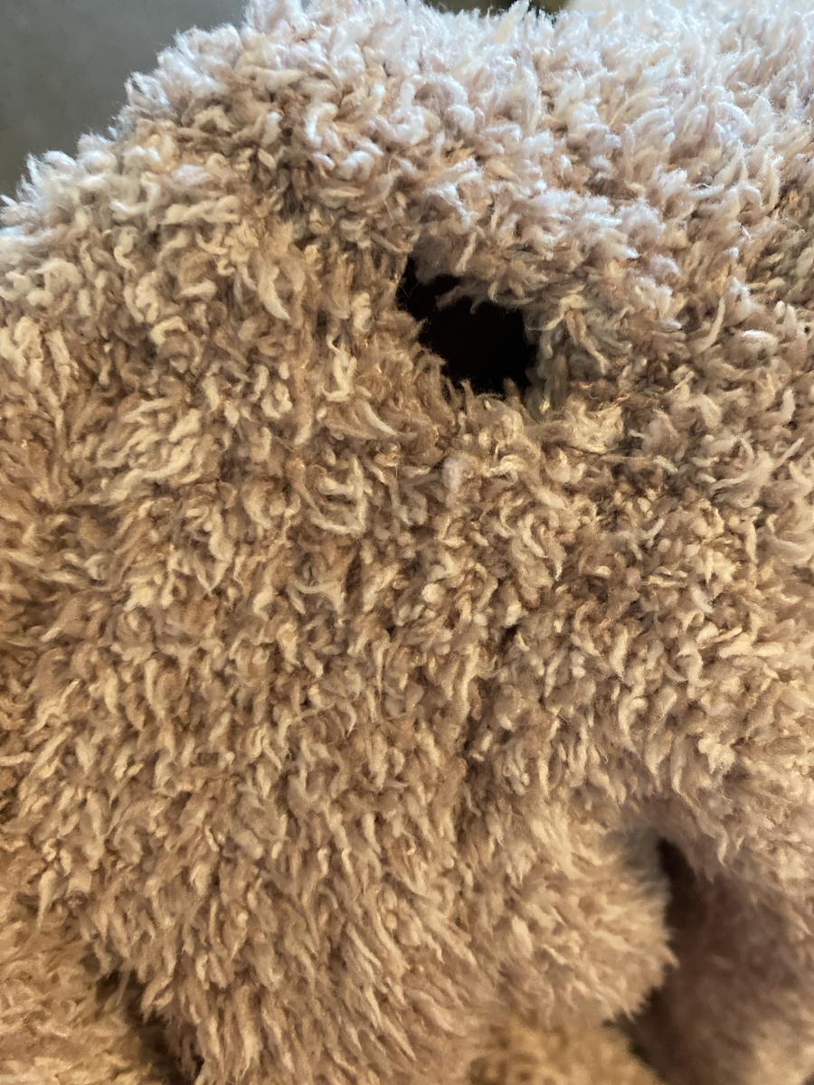 Review Thumbnail Image 0 204601300