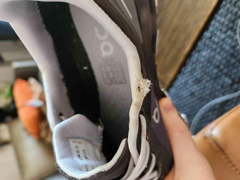 Review Thumbnail Image 0 225318744