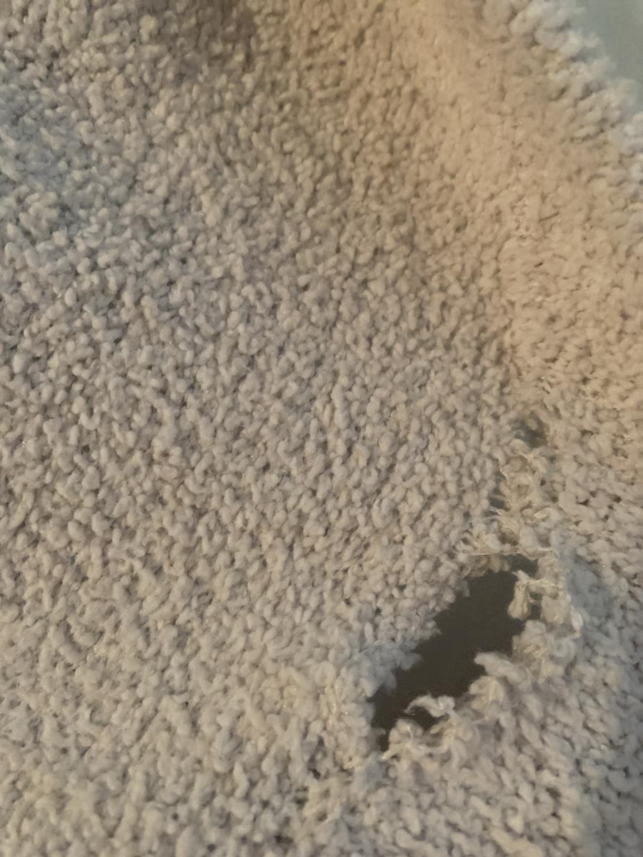 Review Thumbnail Image 0 204794503