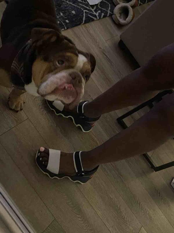 Review Thumbnail Image 0 239189954