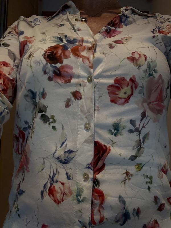 Review Thumbnail Image 0 243094113