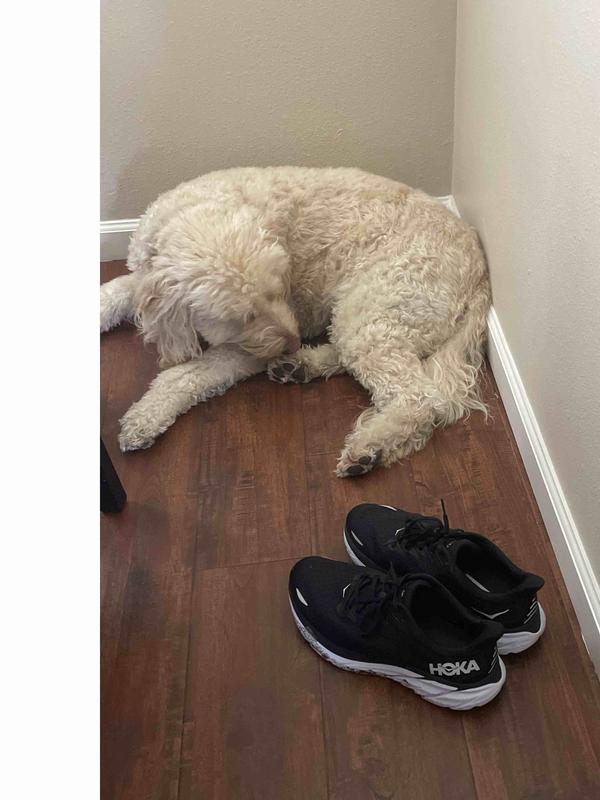 I am in Hoka Heaven!