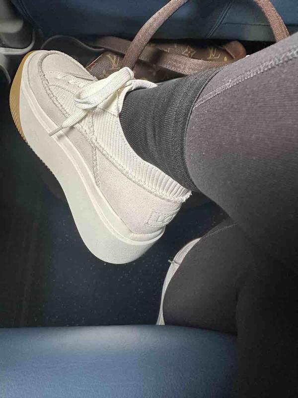 My new traveling partner