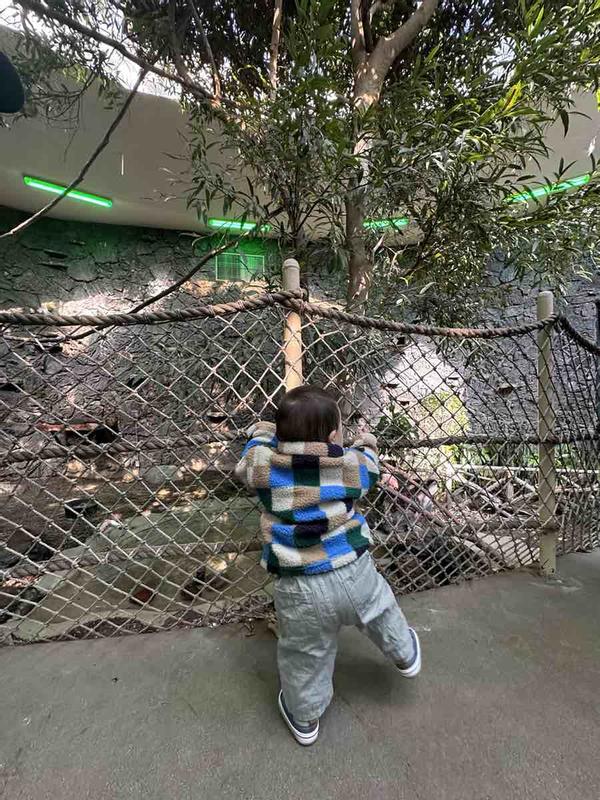 Review Thumbnail Image 2 240068213