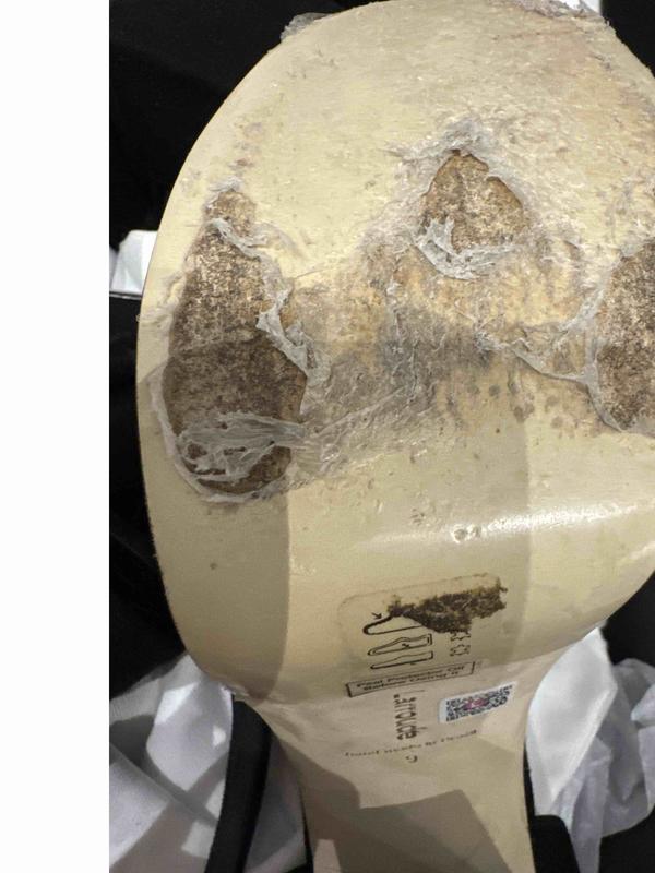 Review Thumbnail Image 0 232528026