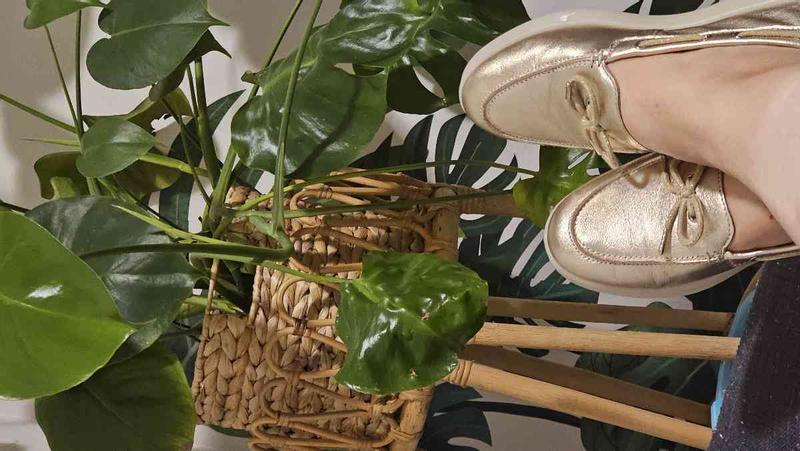 Review Thumbnail Image 0 243497953