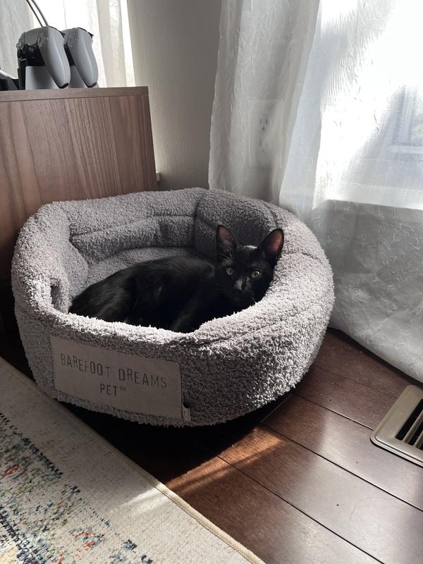 Review Thumbnail Image 0 238048104